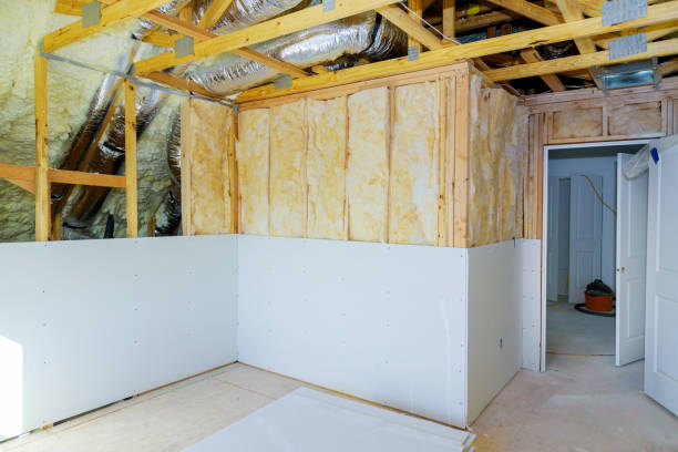 Best Residential Insulation in Roebuck, SC