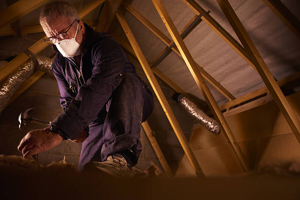 Best Geographic-Specific Insulation Services in Roebuck, SC