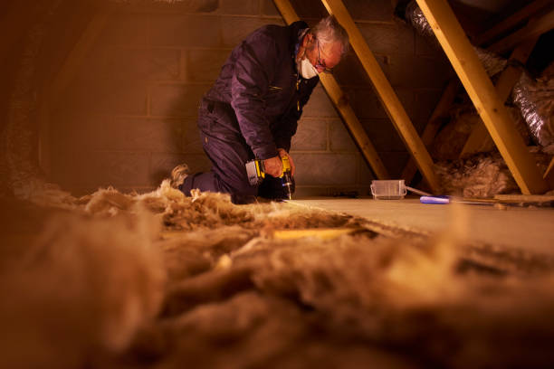 Best Commercial Insulation in Roebuck, SC