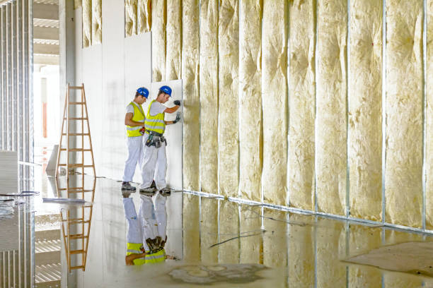 Best Insulation Maintenance and Repair in Roebuck, SC